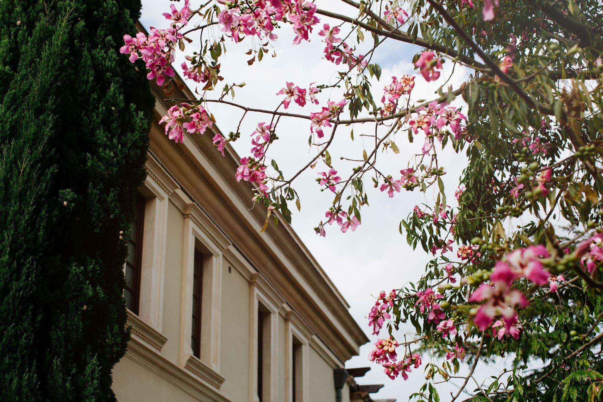 The Ashbee Hotel Taormina Eksteriør billede